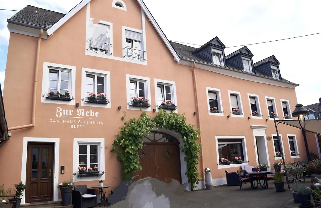 Gasthaus Zur Rebe-1